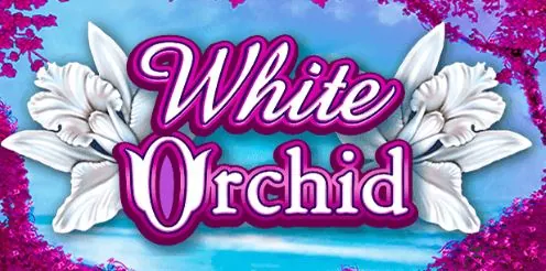 white orchid slots main image