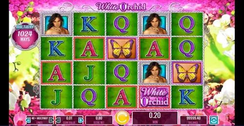 white orchid slots mobile image