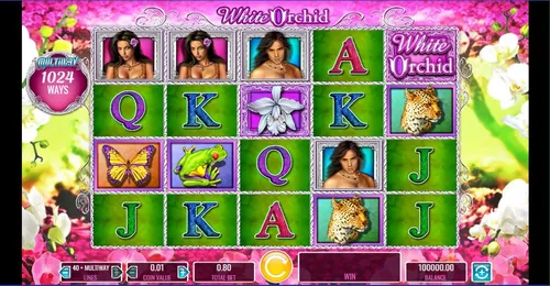 white orchid slots tips image