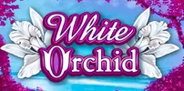 white orchid slots Logo